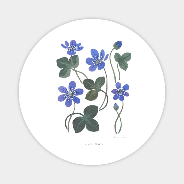 Blue Anemone Magnet by Rebelform